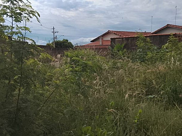 Terreno - Venda - Jardim Santa Ana - Lu�s Ant�nio - SP
