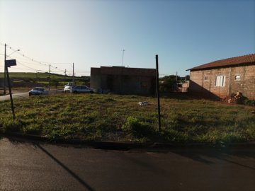 Terreno - Venda - Jd. Cambui - Luís Antônio - SP