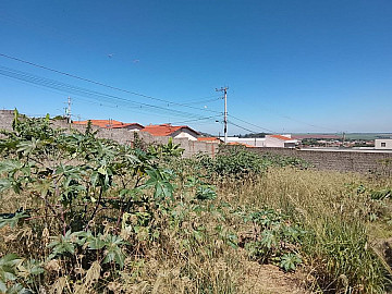 Terreno - Venda - Parque do Mirante - Luís Antônio - SP
