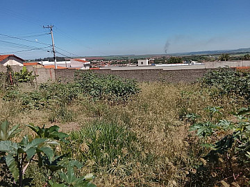 Terreno - Venda - Parque do Mirante - Luís Antônio - SP