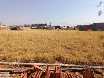 Terreno - Venda - Jardim Amrica - Lus Antnio - SP