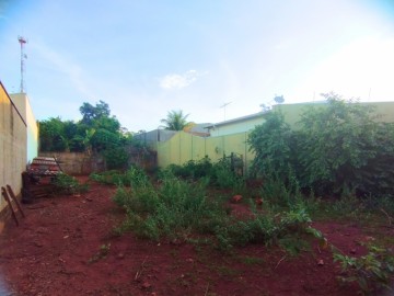 Terreno - Venda - Jardim Jataí - Luís Antônio - SP